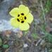 Karen Ullmann - Facebook
