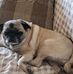 Karen Umberger - Facebook