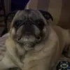 karenlumberger - @karenlumberger - TikTok