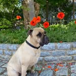 Karen Vail - @karenvail44 - Instagram