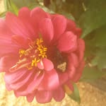 Karen Vail - @karenvail53 - Instagram
