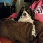 Karen Vanderpool McGlogan - @karen.vanderpool.mcglogan - Instagram