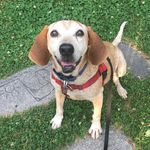 Karen Van Meter - @karenvanmeter711 - Instagram