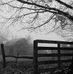Karen Van Winkle - Facebook