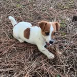 Karen Vick - @karen.vick.14 - Instagram