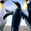 Karen Vick - @karen.vick33 - TikTok