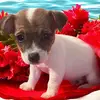 Karen Vick - @karen.vick95 - TikTok