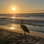 Karen Wacker - @kwacker14 - Instagram
