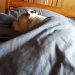Karen Wake - @karen10_1976 - Instagram