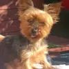 karen wake - @karen.wake3 - TikTok