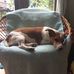 Karen Watton - Facebook