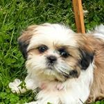 Karen Weekley - @weekley_karen - Instagram