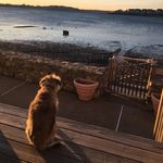 Karen Welling - @karen_welling - Instagram
