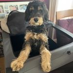 Karen Welling - @karenawelling - Instagram