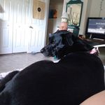 Karen Welling - @welling4683 - Instagram