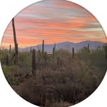 Karen Wentzel - @kwhealling - Instagram