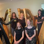 Karen Svanoe Westgate - @karenharpist - Instagram