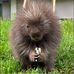 Karen Whitcomb - Facebook