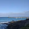 karenwhitcombe981 - @karenwhitcombe981 - TikTok