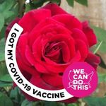Karen Wicker - @wickerk2 - Instagram