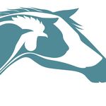 Karen Wickerson - @karenwickersonanimaltelepath - Instagram