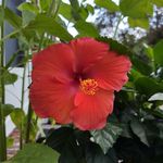 Karen La Barr Wickman - @karen.l.wickman - Instagram