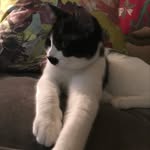 Karen Willman - @karenwillman - Instagram