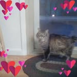 Karen S. Willmore - @karens.willmore - Instagram