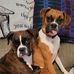 Karen Witman - Facebook