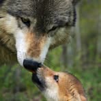 Karen Witte - Facebook