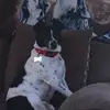 Karen_Wittendorf - @karen_wittendorf - TikTok