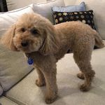 Karen Woolf - @jdsmom1 - Instagram