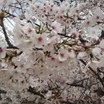 Karen Yeo - @karenyeo412 - Instagram