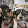 karenyocom - @kyry305th - TikTok