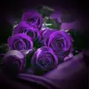 Karen Yon895 - @user6112765086260 - TikTok