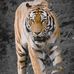 Kari Akin - Facebook