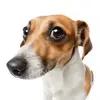 Arthur Kari - @arthur.kari1 - TikTok