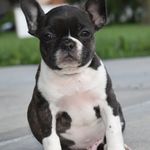 Kari Barnett - @kinglouie_ofhuberheights - Instagram