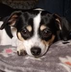 Kara Binkley Grote - Facebook