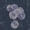 Karibloom - @bloom11___ - TikTok