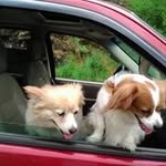 Kari Butler - @kari.butler.589100 - Instagram
