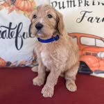 Kari Butler - @baxter_boy_06 - Instagram