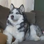 Kari Caudill - @karicaudill - Instagram