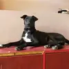 kari8807 - @karichaithu2107 - TikTok