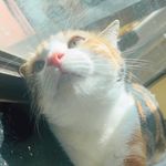 Kari Chan - @kari_x.xx - Instagram