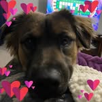 Kari Cherry - @shinynewpenny1 - Instagram