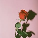かりち - @karichi__ - Instagram