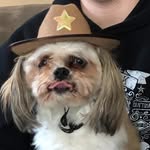 Kari Christopherson - @kari55c - Instagram