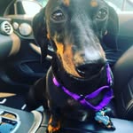 Kari Cochran - @karibo2 - Instagram