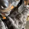 karicochranpac - @karicochranpac - TikTok